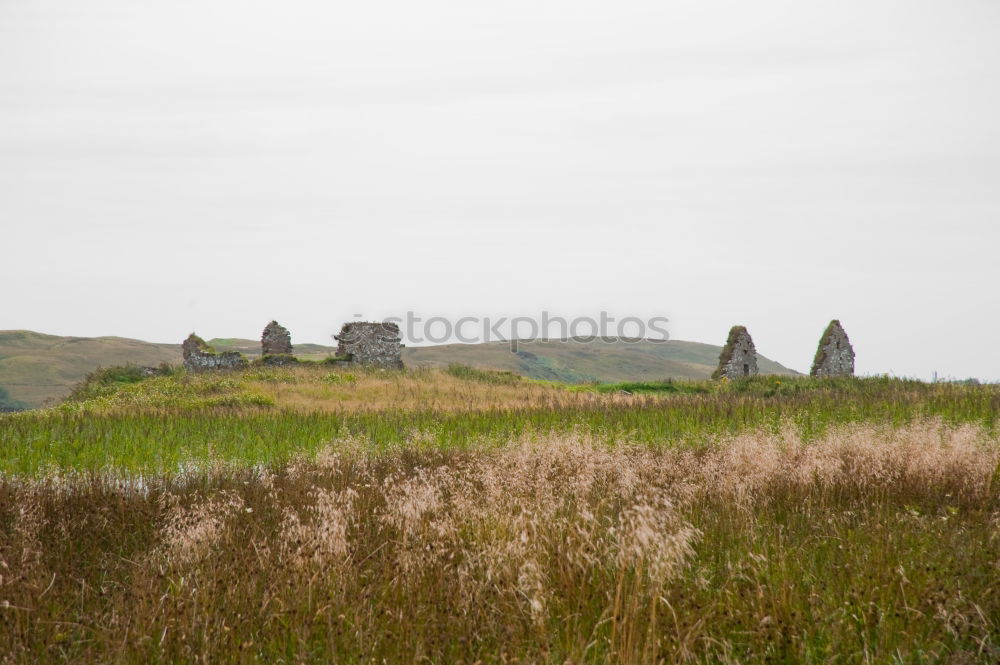 Similar – Image, Stock Photo mysteriuos muai statue symbol of an ancien culture