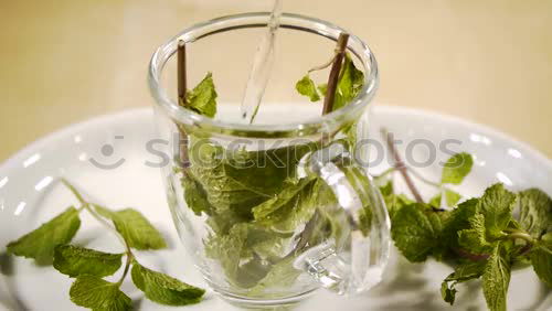 Similar – Sage bundle in glass on wood background