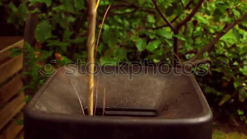 Similar – GartenLust Werkzeug Leben