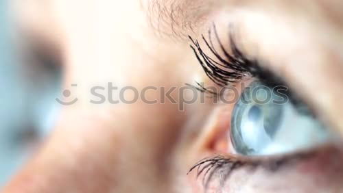 Similar – Close-up shot of young woman’s eye