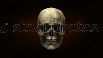 Similar – Foto Bild Memento Mori 2 Skelett