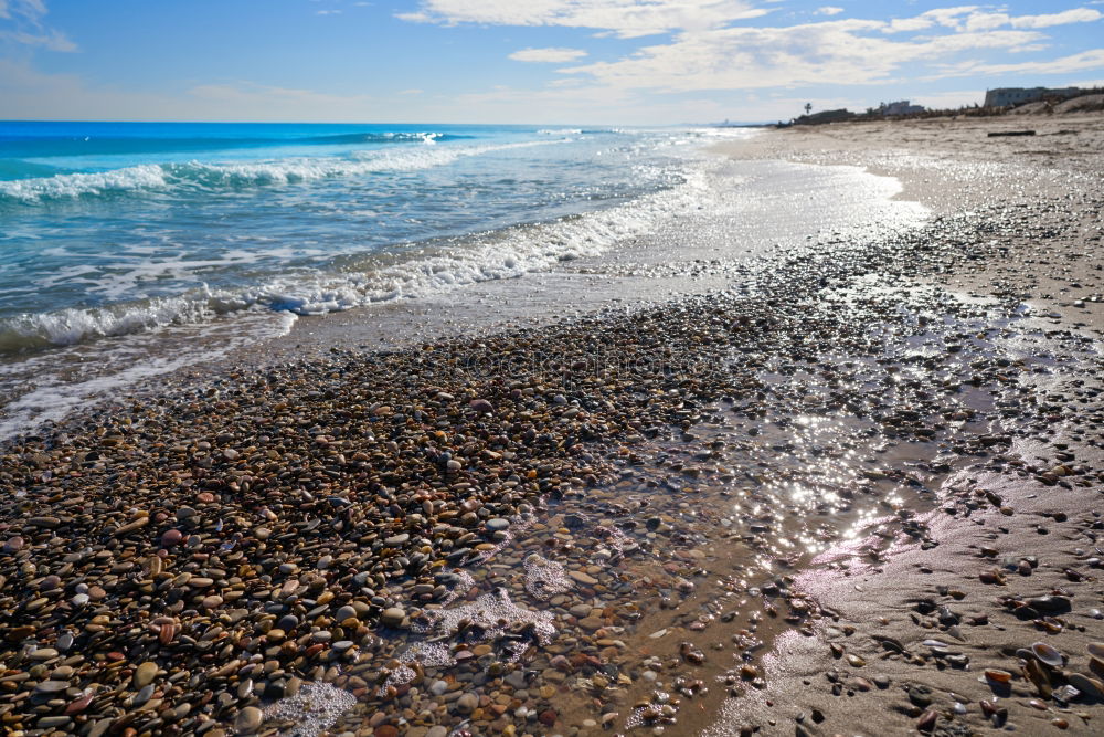 Similar – Lava Beach Iceland