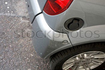 Similar – Image, Stock Photo Rabbit on the street