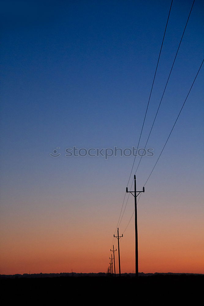 Similar – Image, Stock Photo Hop poles 2 Beer