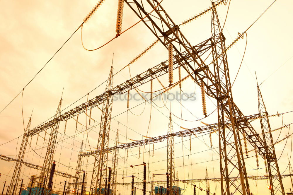 Similar – Image, Stock Photo cranes Crane Yellow Sunset