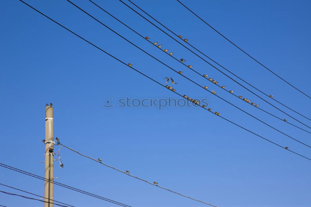 Similar – Image, Stock Photo floodlight Lamp post