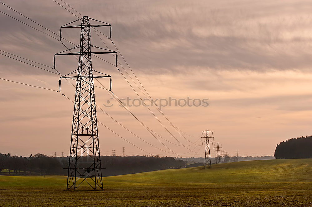 Similar – Image, Stock Photo My heart dances in all ways *