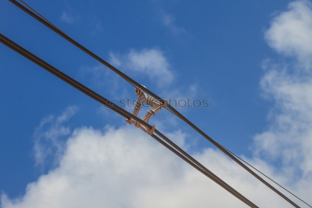 Similar – captive Wire Barbed wire