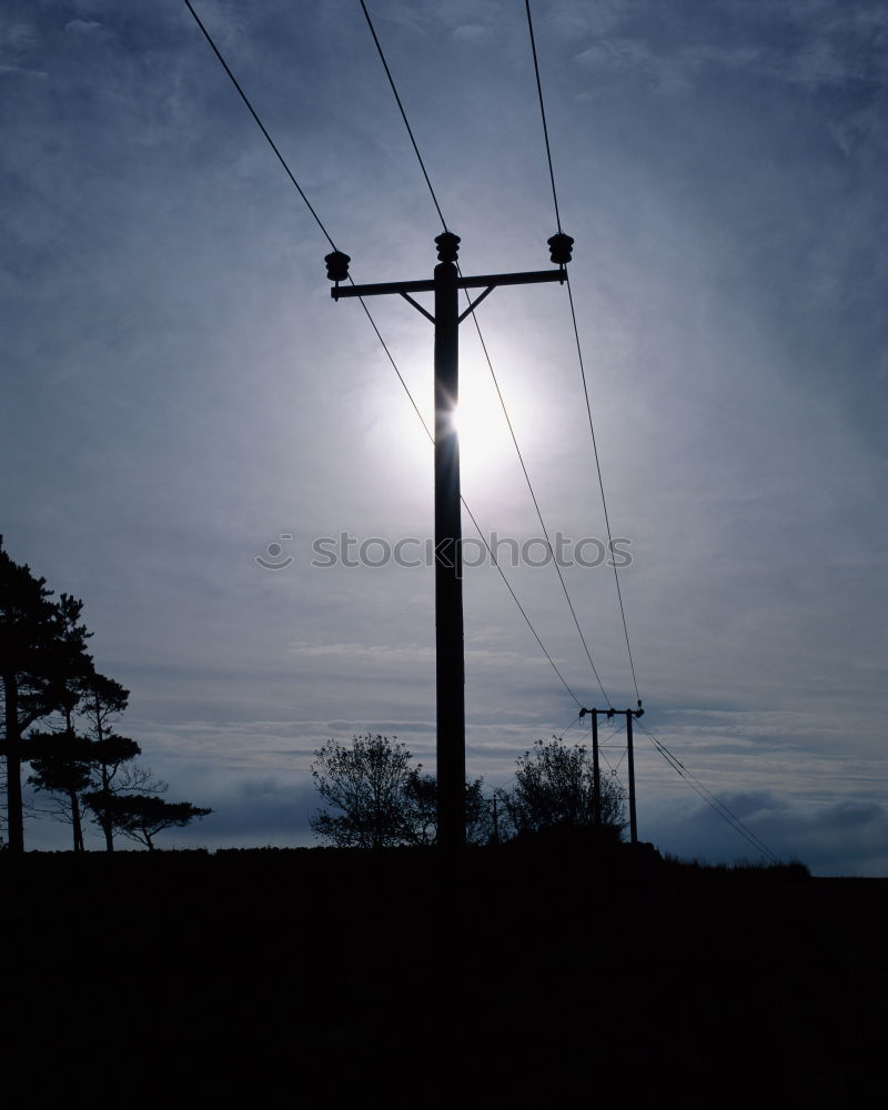 Similar – light chain Winter Tree