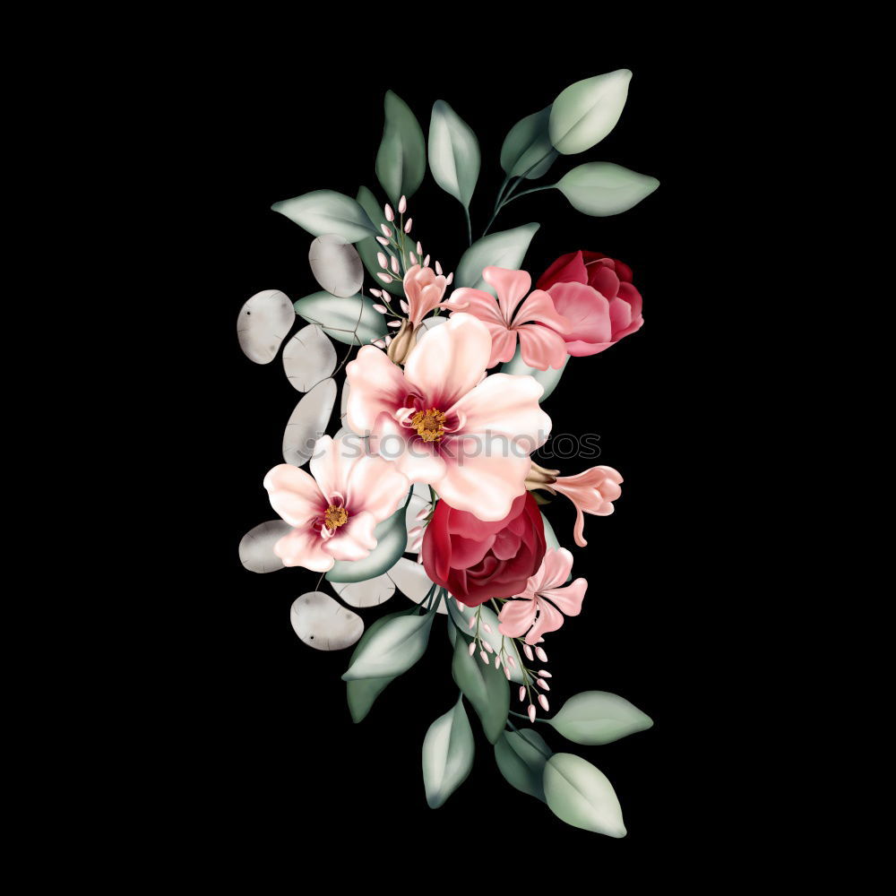 Similar – Image, Stock Photo Jar of flower on table