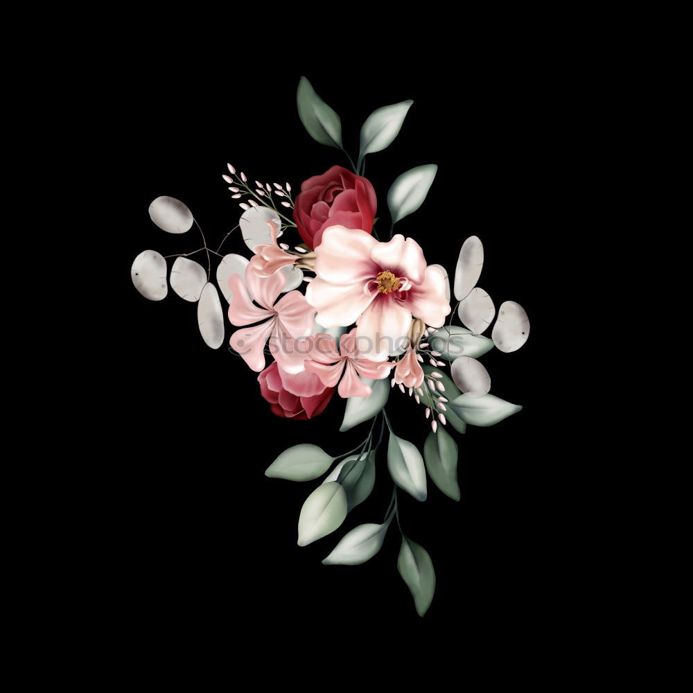 Similar – Image, Stock Photo Beside the pink ones, the white rose did not find itself beautiful at all and sadly let its head hang down.