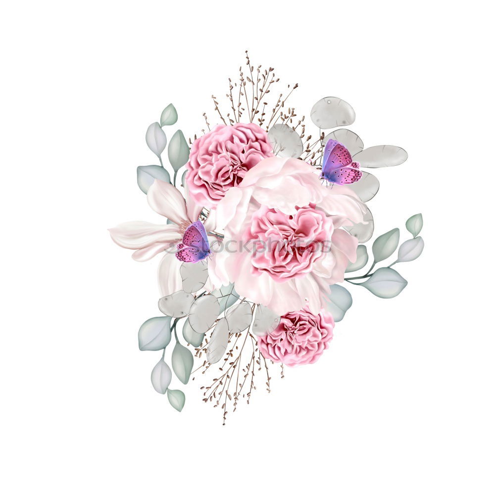 Similar – Image, Stock Photo Pastel pink flowers layout