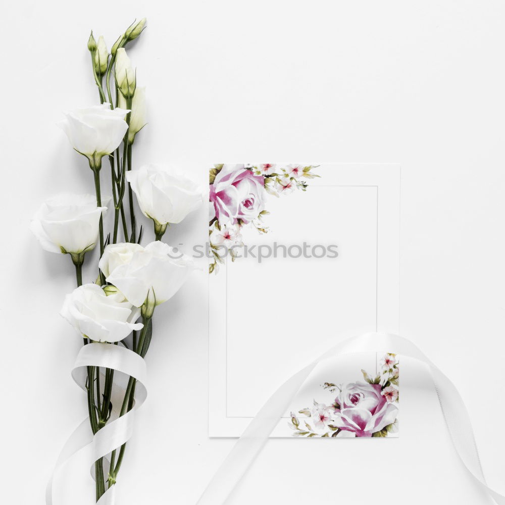 Similar – Composition of pink accessories to female holidays: Mothers day , Womens day, birthday or wedding. Paper shopping bag with flowers,paper, party fan and ribbon on white background, top view