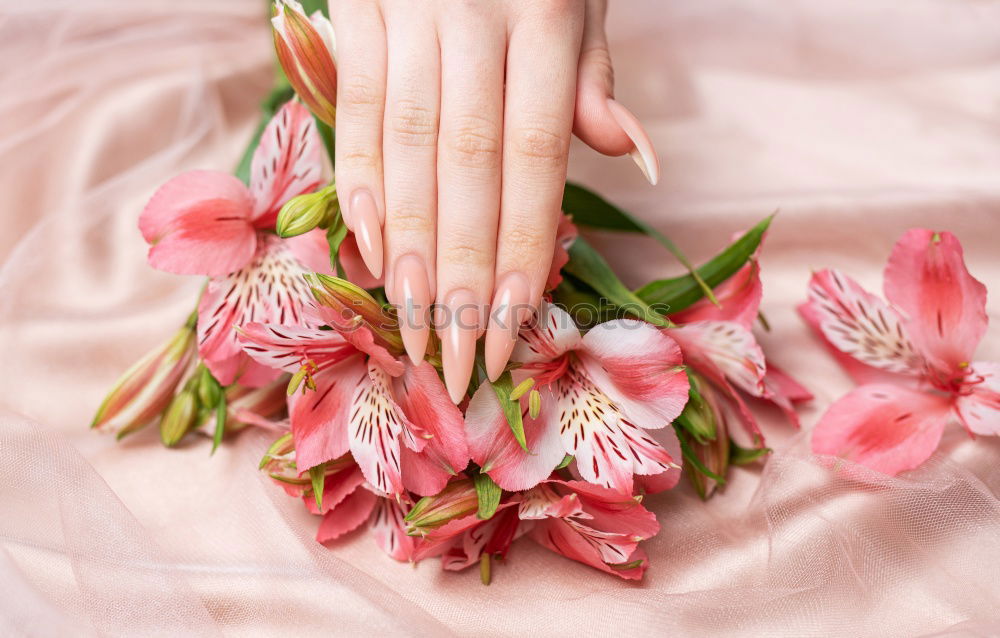 Similar – Image, Stock Photo Spring_02 Feminine