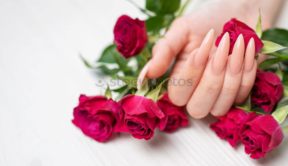 Similar – Image, Stock Photo young woman holding bouquet of red roses in her hands, valentines day, mother’s day, gift