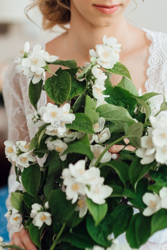 Similar – Image, Stock Photo A bouquet full of summer