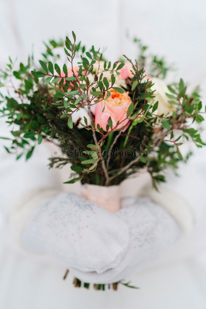 Similar – Image, Stock Photo Bouquet of fresh flowers