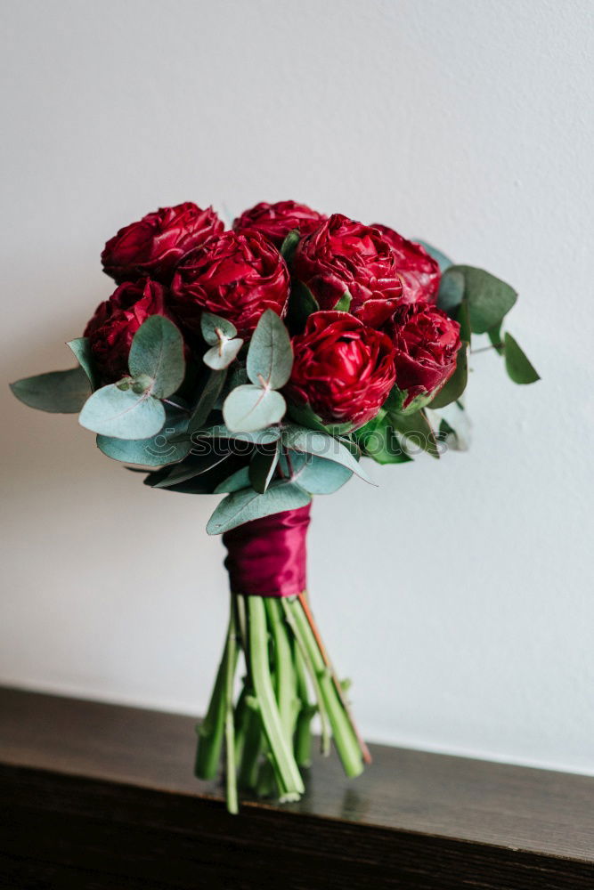 Similar – red roses for Valentine’s Day