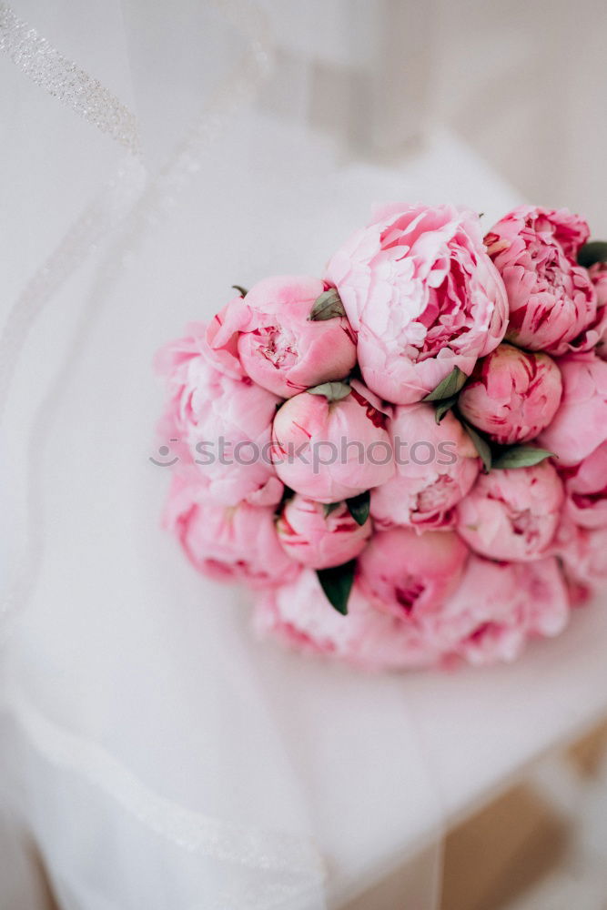 Similar – Image, Stock Photo Bridal bouquet with silver decoration and white bag