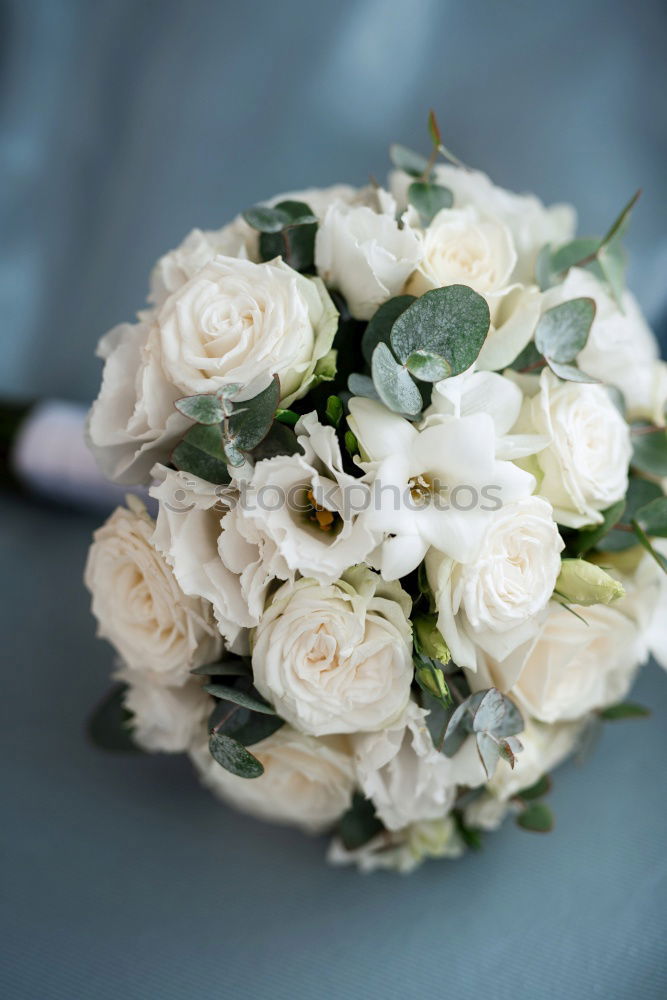 Similar – The bride’s bouquet [1]