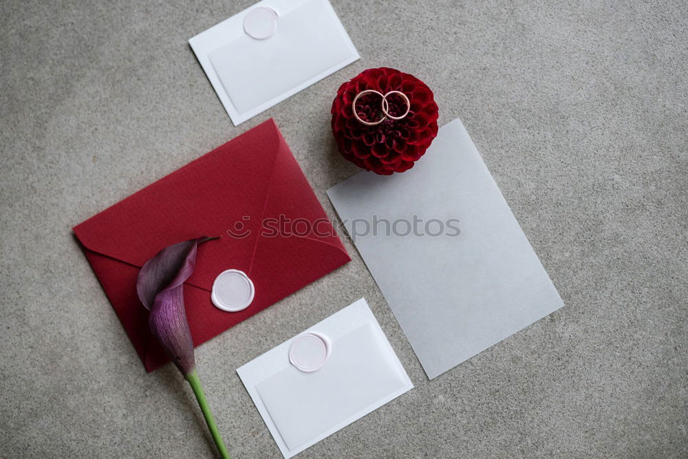 Similar – Image, Stock Photo Delicious Christmas Cookies