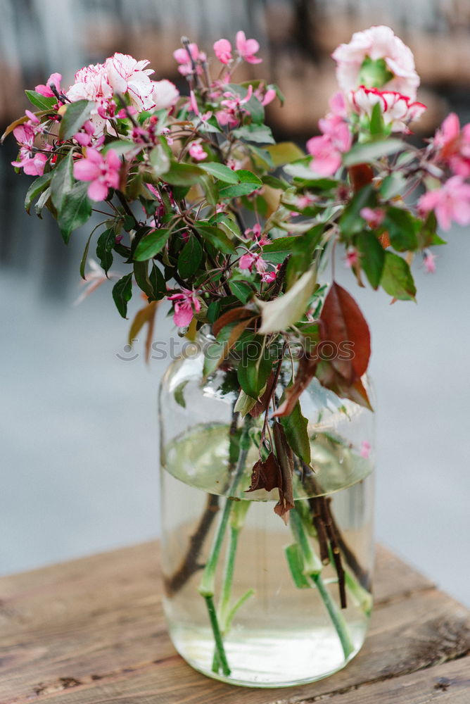 Similar – Image, Stock Photo fresh herbs and flowers in a metal bowl on a wooden table