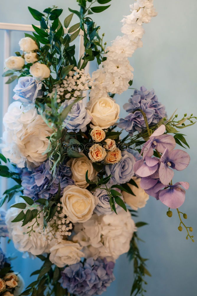 Similar – Image, Stock Photo welcome wreath Wreath