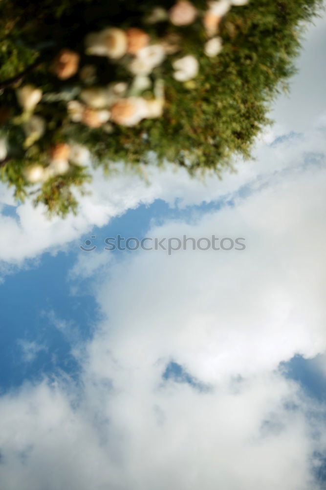 Image, Stock Photo Young woman meditating viewed through a crystal ball