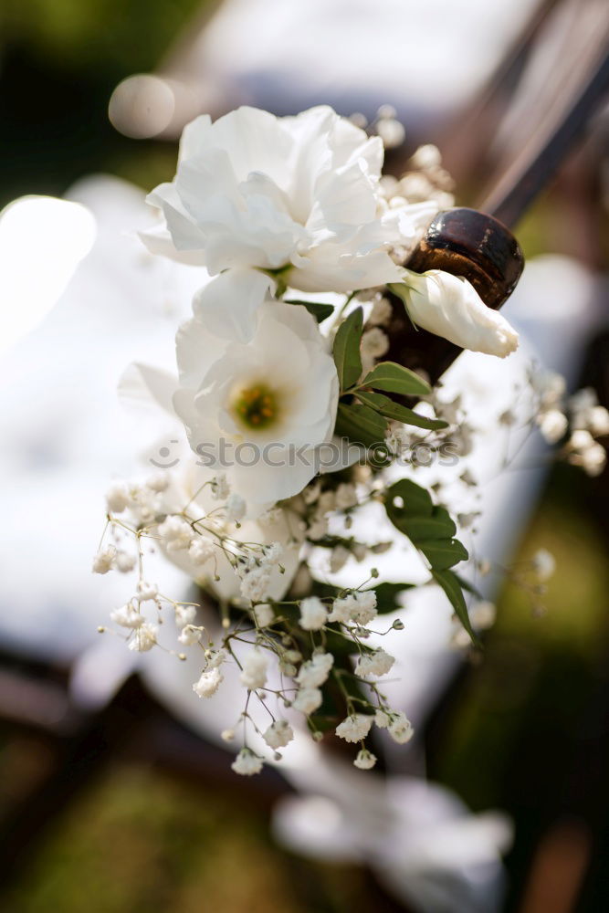 Similar – Blütenzaun Zaun Frühling