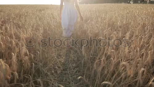 Similar – Image, Stock Photo Alexa in the evening light.