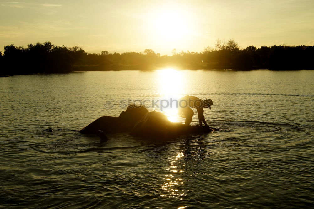 Similar – Foto Bild Fischerboot auf dem Shannon River in Irland