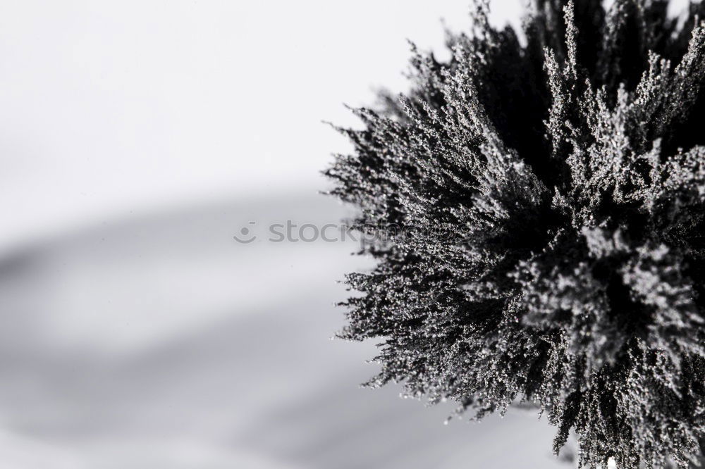 Similar – Foto Bild Tauwetter´s Natur