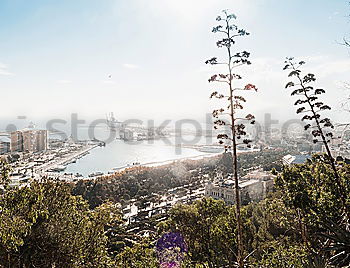 Similar – Image, Stock Photo Panorama of Marseille, France