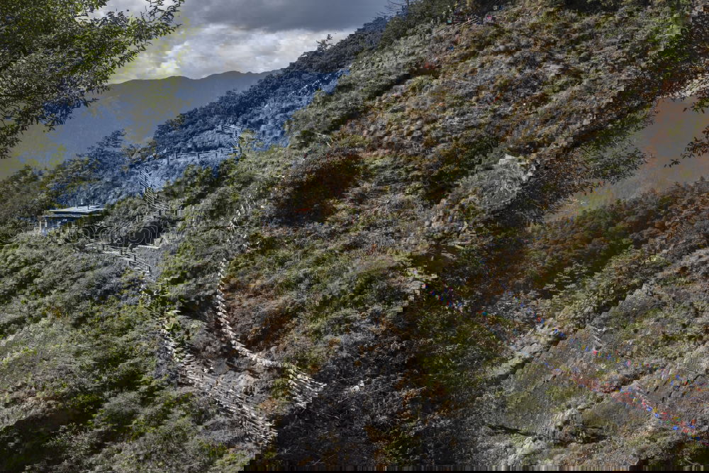 Similar – Image, Stock Photo Switzerland way mountains tree