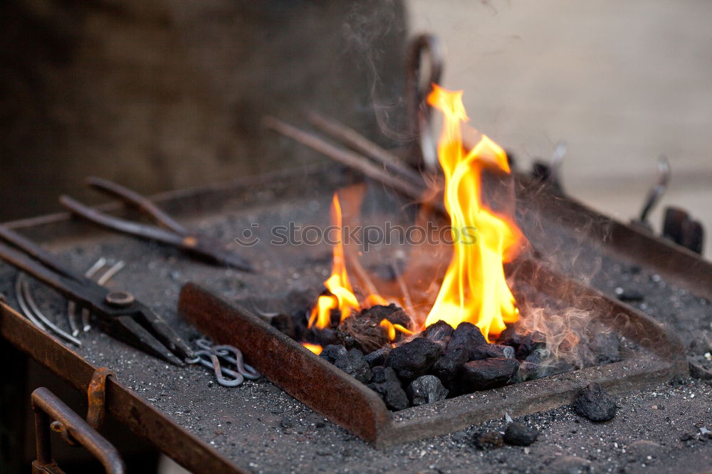 Similar – Image, Stock Photo Grilled fish.