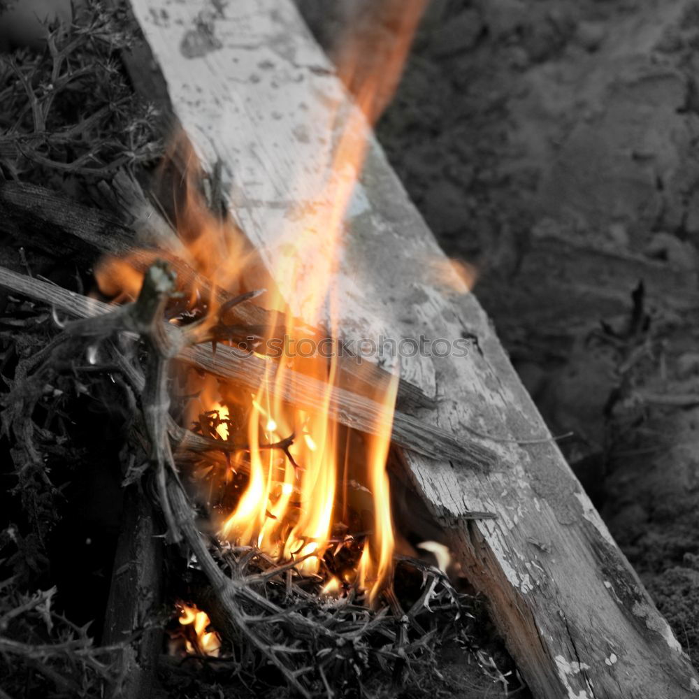 Similar – Man lights a fire in the fireplace