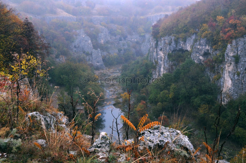 gorges du chassezac