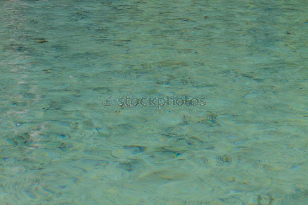 Similar – Image, Stock Photo Water Green Turquoise