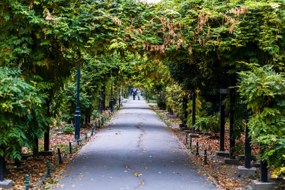 Similar – Foto Bild Schlossnähe Sightseeing