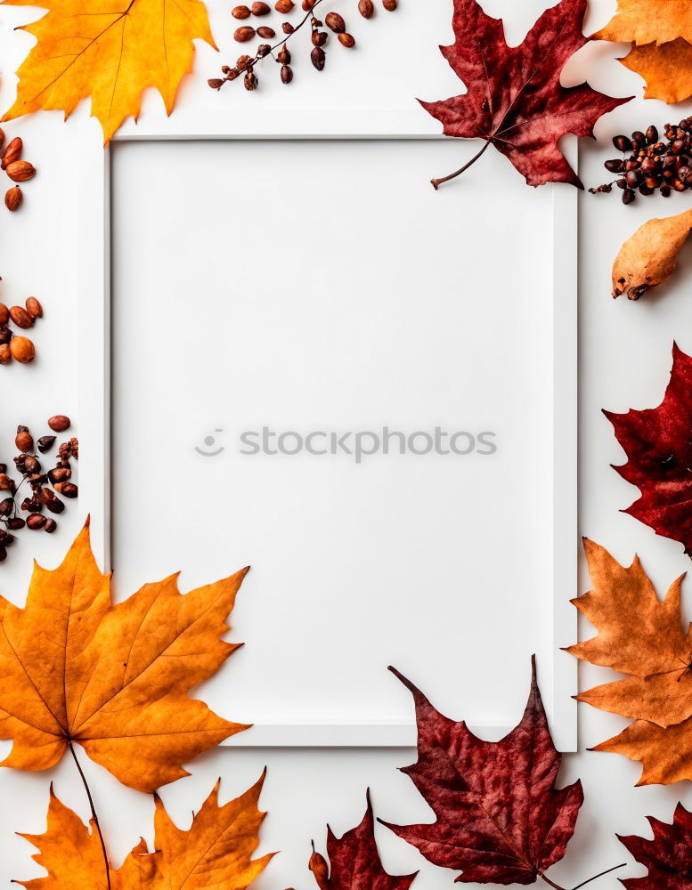 Similar – Bฺlank paper with autumn leaves and pumpkin