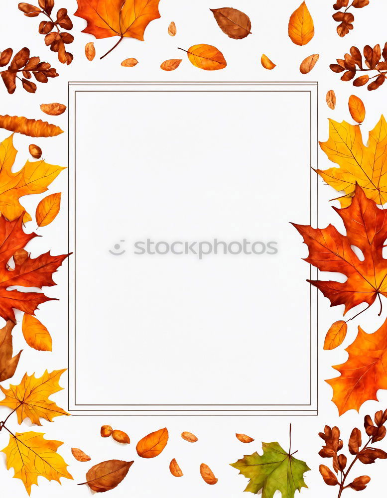 Similar – Bฺlank paper with autumn leaves and pumpkin