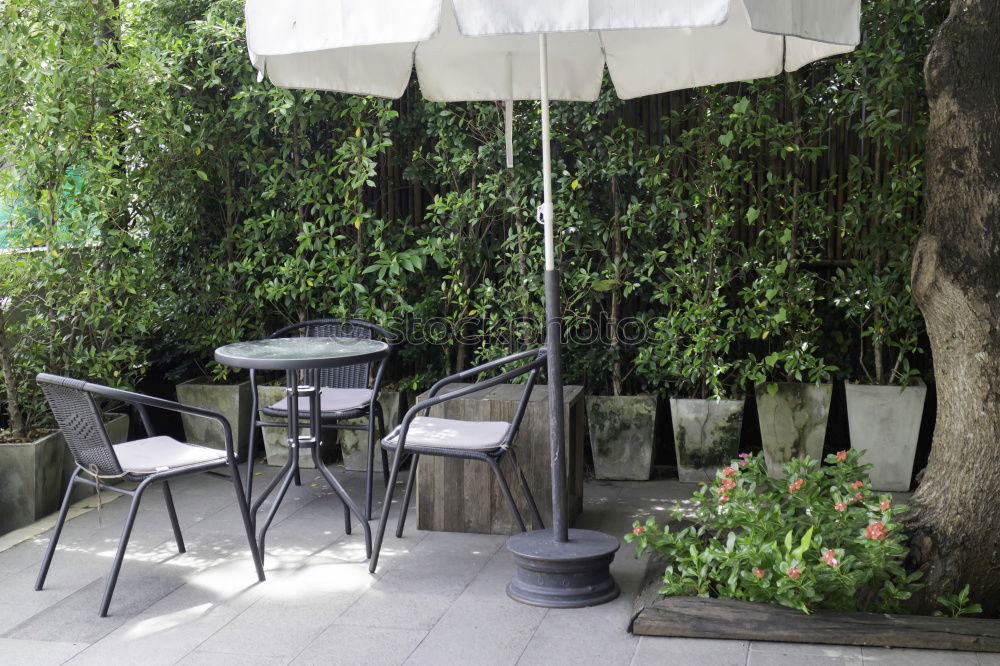 Similar – Balcony with green plants