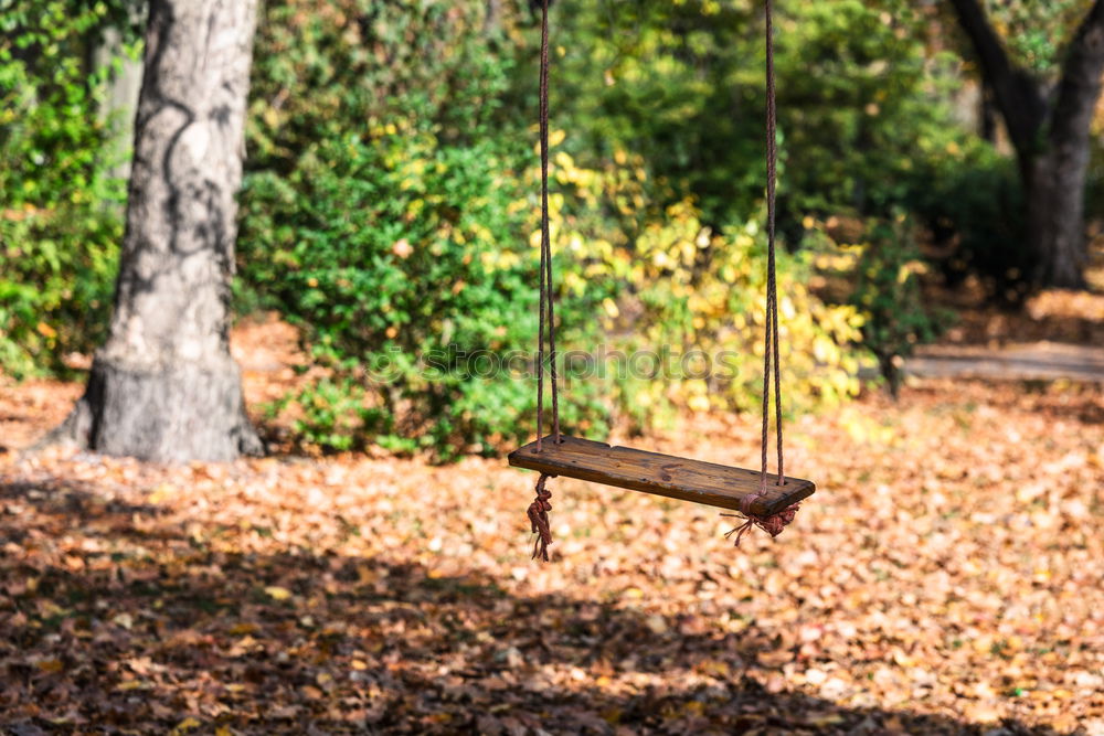 Similar – Image, Stock Photo Blonde boy climbing a ladder at a treehouse