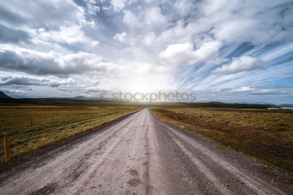 Similar – Away in winter with reindeer in Scotland