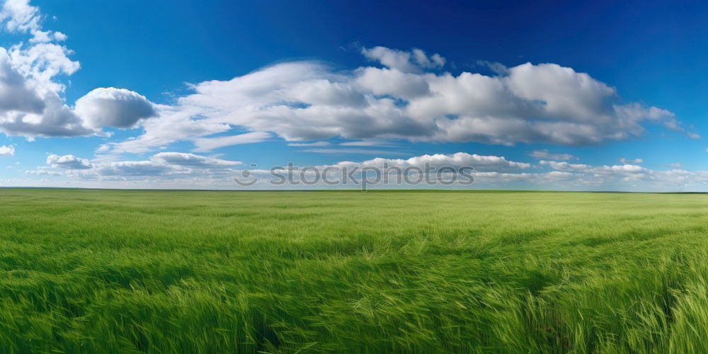 Similar – Image, Stock Photo Westerhever / North Sea coast