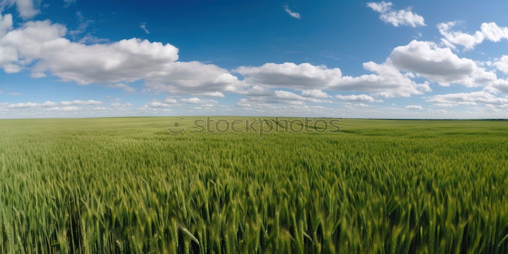 Similar – Foto Bild im märzen der bauer