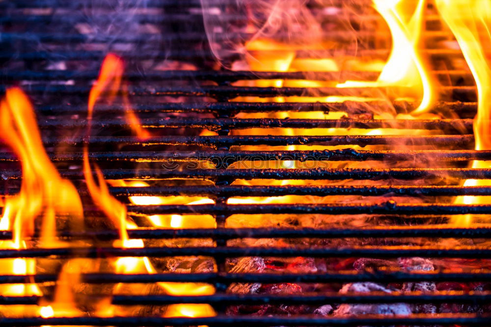 Similar – Born to grill Warmth