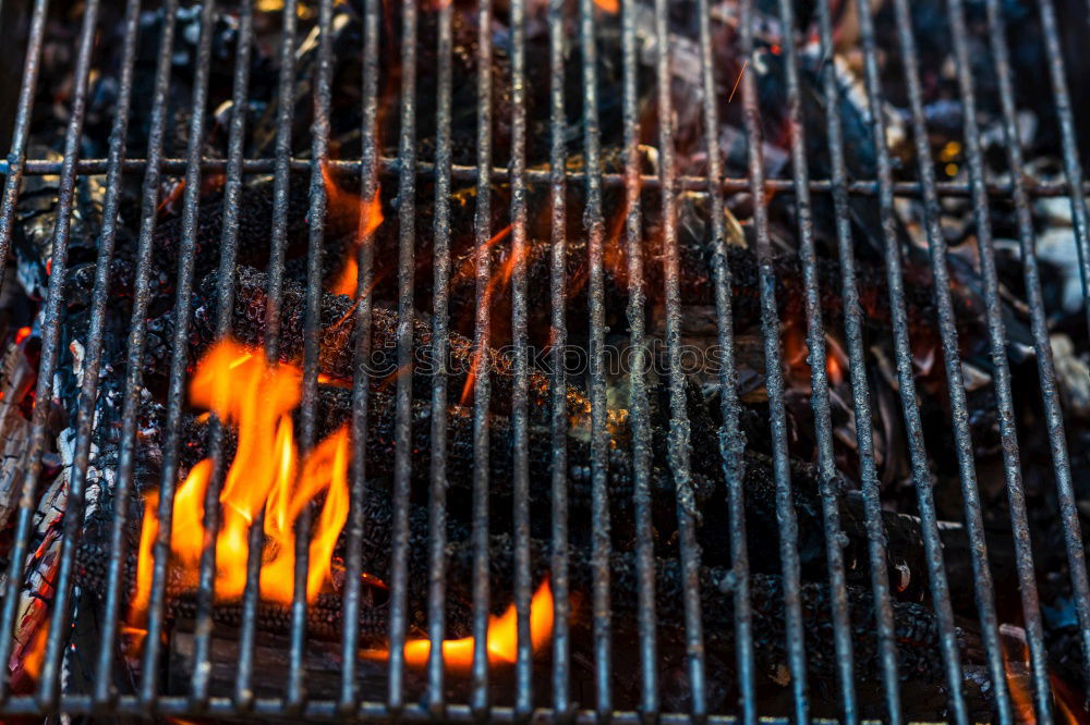 Similar – Image, Stock Photo On hot coals!