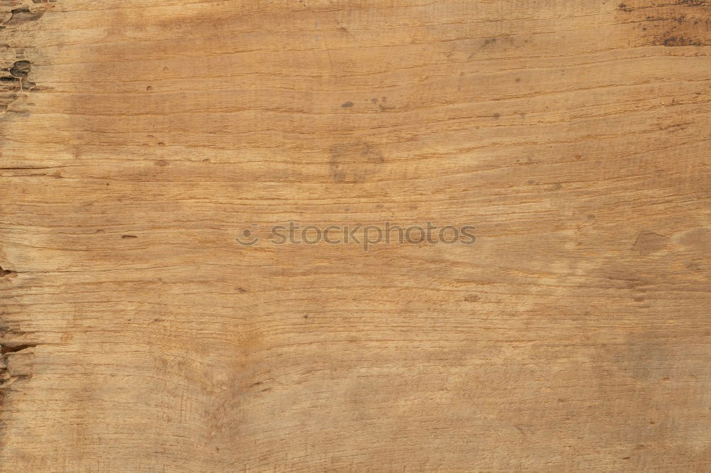 Similar – wood grain surface Grain