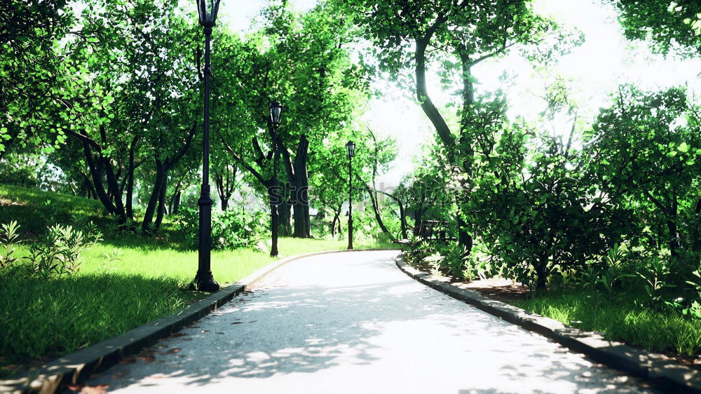 Zanzibar II Nature Park